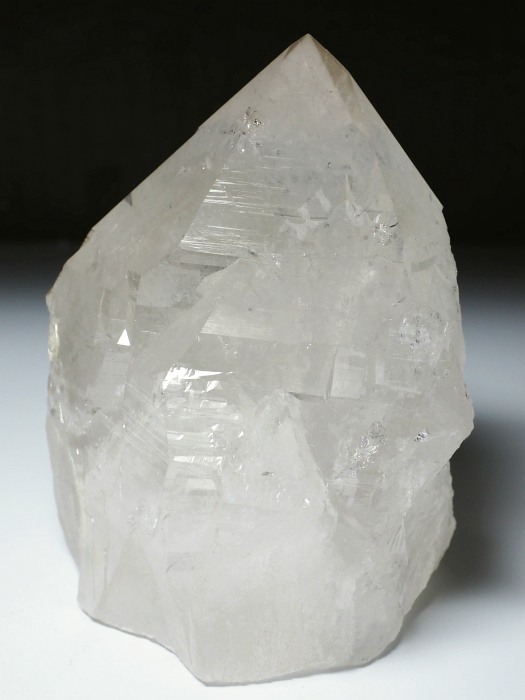 zCgNH[c XCXAvXP 105mm 910g (9-16)