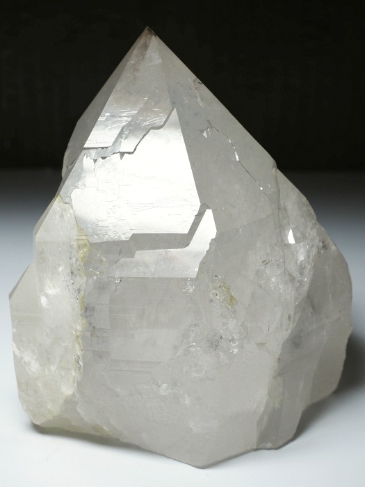 zCgNH[c XCXAvXP 105mm 910g (9-16)