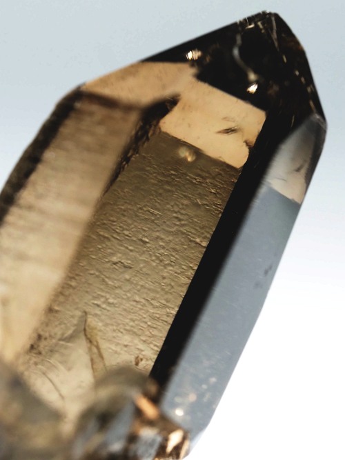 X[L[NH[c XCXAvXP 47mm 26g (34-47)