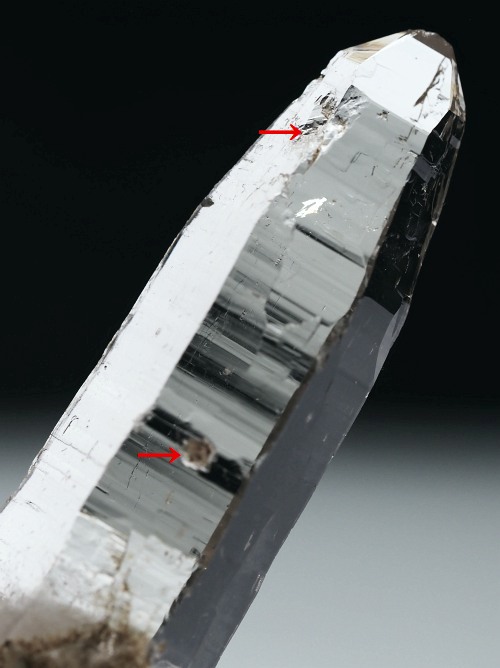 r^bNNX^XCXAvXP 66mm 28g (34-22)
