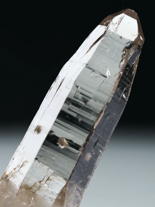 r^bNNX^XCXAvXP 66mm 28g (34-22)
