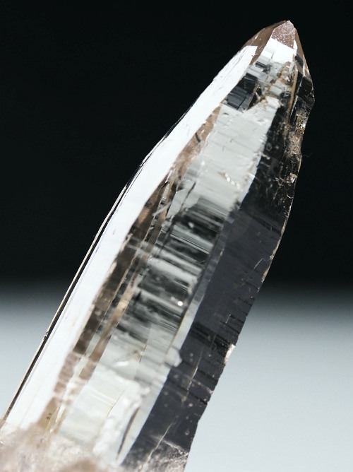 r^bNNX^XCXAvXP 66mm 28g (34-22)