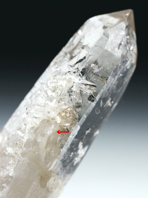 r^bNNX^ XCXAvXP 62mm 33g (36-23)