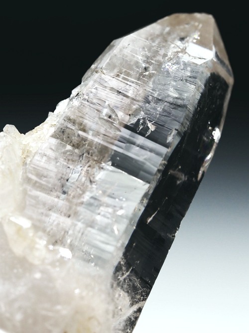 r^bNNX^ XCXAvXP 62mm 33g (36-23)