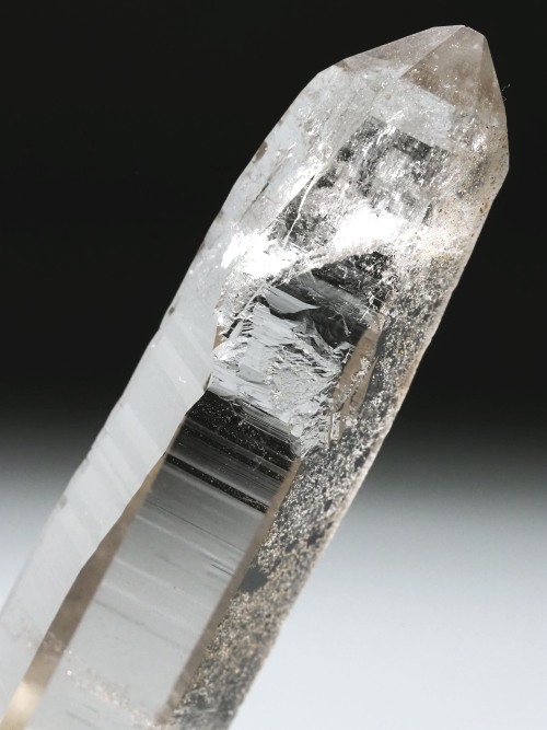 X[L[NH[c XCXAvXP 78mm 39g (37-37)