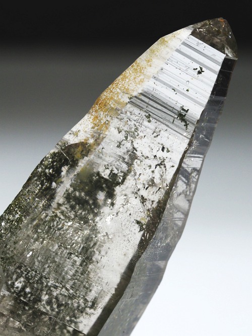 N[CgonebVnrbgXCXAvXP 76mm 51g (30-44)