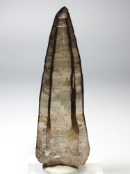 テッシンハビット型スモーキークォーツ<br>スイスアルプス水晶単結晶<br> 83mm 53g (36-4)