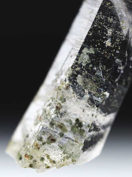 r^܂ XCXAvXP 71mm 19.7g (33-17)