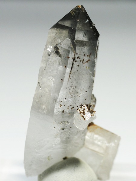 X[ginNH[cXCXAvXP 47mm 20g (37-96)