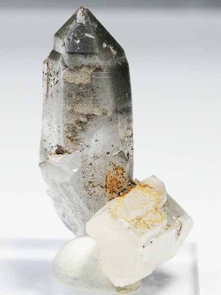 X[ginNH[cXCXAvXP 47mm 20g (37-96)