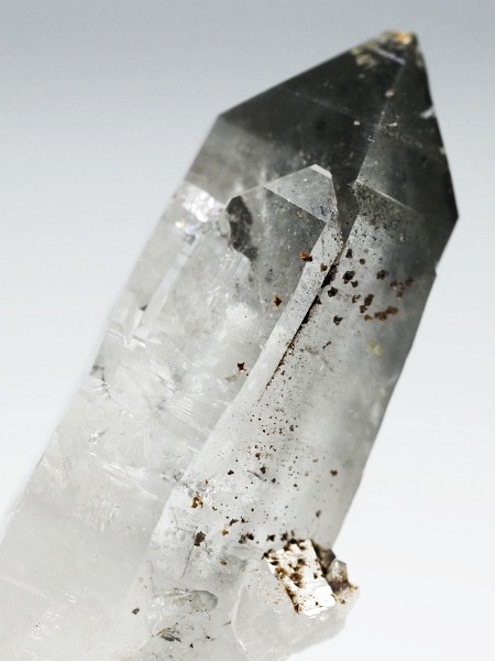 X[ginNH[cXCXAvXP 47mm 20g (37-96)