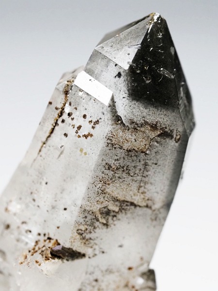 X[ginNH[cXCXAvXP 47mm 20g (37-96)