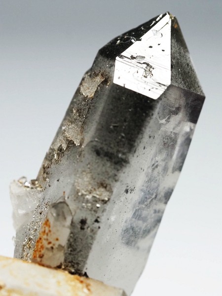 X[ginNH[cXCXAvXP 47mm 20g (37-96)