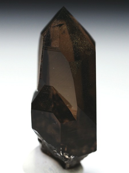 X[L[NH[cXCXAvXP 43mm 21g (37-69)