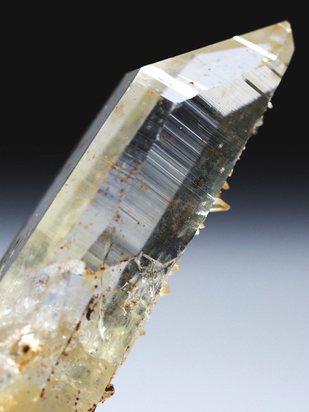 bNNX^XCXAvXP 60mm 22g (37-74)