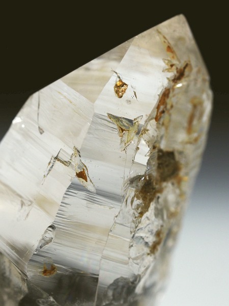 ebVnrbgXCXAvXP 42mm 22g (37-42)