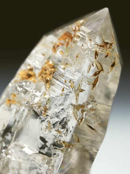 ebVnrbgXCXAvXP 42mm 22g (37-42)