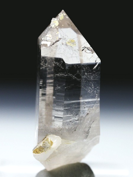 bNNX^XCXAvXP 49mm 23g (37-53)