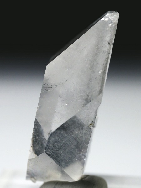 N[CginNH[cXCXAvXP 44mm 24g (37-22)