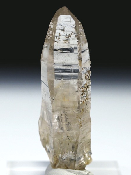 ebVnrbgXCXAvXP 60mm 25g (35-13)