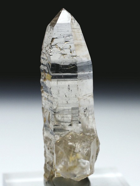 ebVnrbgXCXAvXP 60mm 25g (35-13)