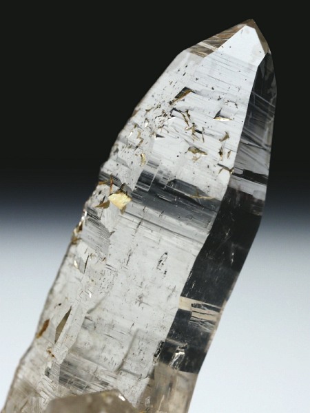 ebVnrbgXCXAvXP 60mm 25g (35-13)