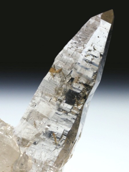 ebVnrbgXCXAvXP 60mm 25g (35-13)