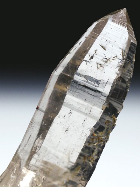 ebVnrbgXCXAvXP 60mm 25g (35-13)