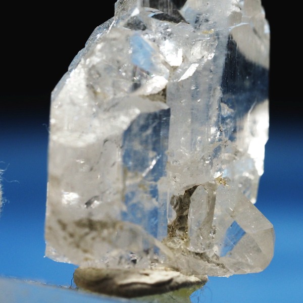 �t�@�[�f������ �X�C�X�A���v�X 10.4g (17-38)