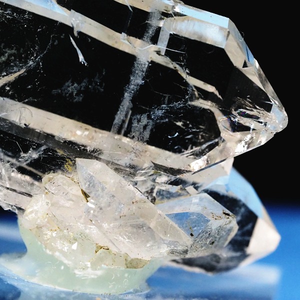 �t�@�[�f������ �X�C�X�A���v�X 6g (17-39)