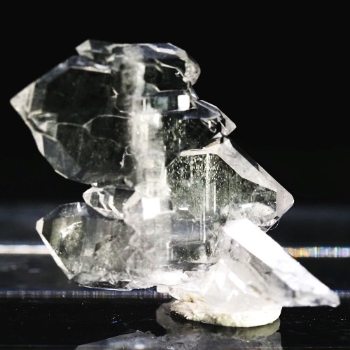 �t�@�[�f������ �X�C�X�A���v�X 0.9g (21-26)