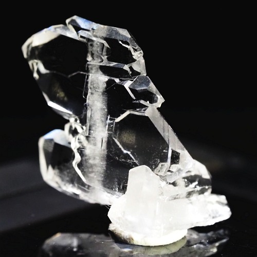 �t�@�[�f������ �X�C�X�A���v�X 0.9g (21-26)