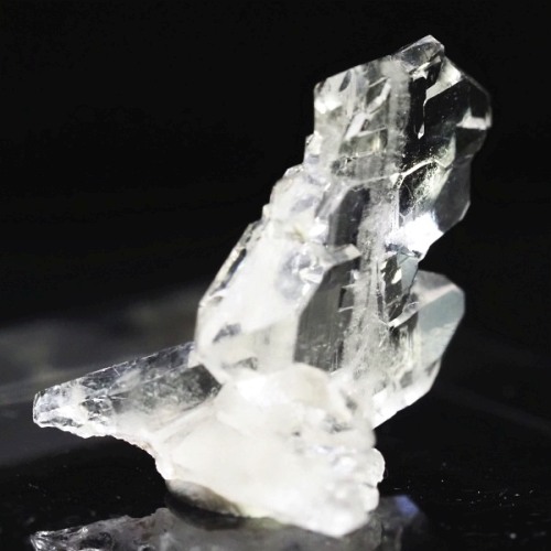 �t�@�[�f������ �X�C�X�A���v�X 0.9g (21-26)