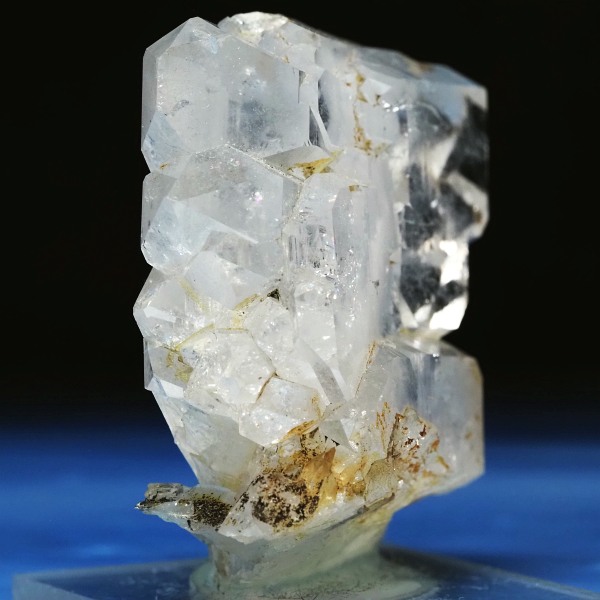 �t�@�[�f������ �X�C�X�A���v�X 79g (24-16)