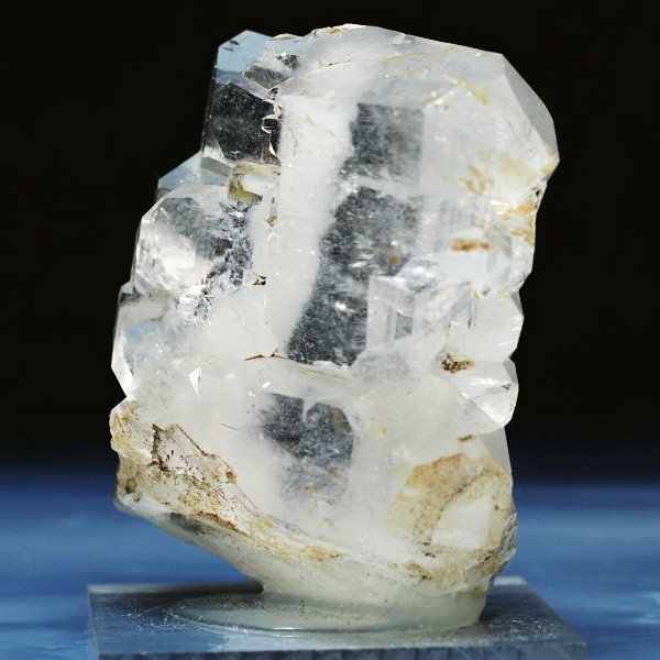 �t�@�[�f������ �X�C�X�A���v�X 79g (24-16)