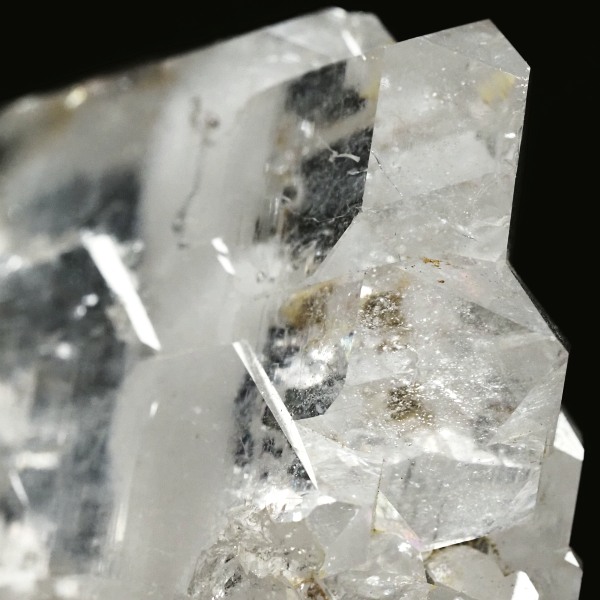 �t�@�[�f������ �X�C�X�A���v�X 79g (24-16)