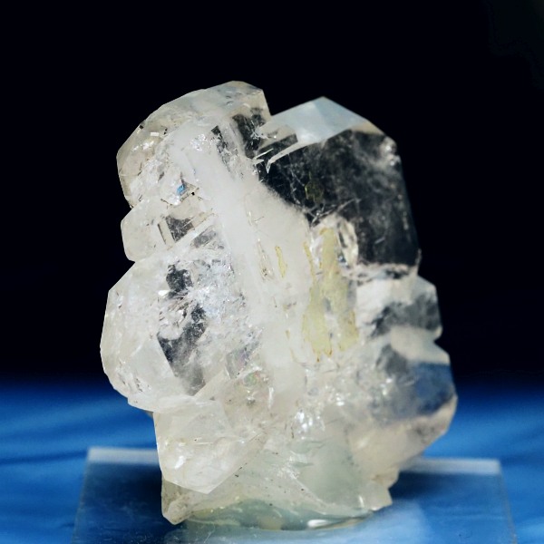 �t�@�[�f������ �X�C�X�A���v�X 40g (24-17)