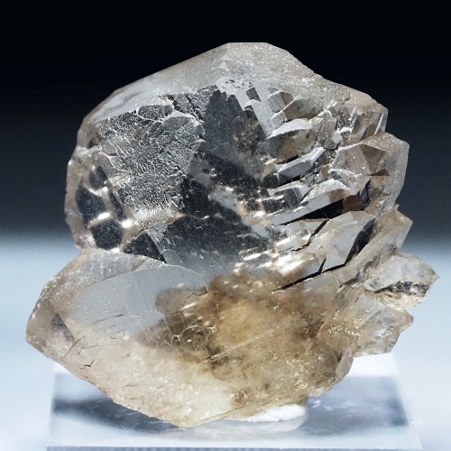 �O�C���f���N�H�[�c �X�C�X�E�A���v�X���� 16g (17-48)