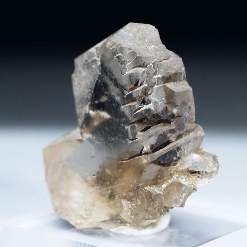 �O�C���f���N�H�[�c �X�C�X�E�A���v�X���� 16g (17-48)