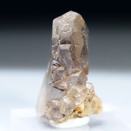 �O�C���f���N�H�[�c �X�C�X�E�A���v�X���� 16g (17-48)