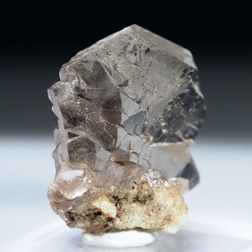 �O�C���f���N�H�[�c �X�C�X�E�A���v�X���� 16g (17-48)