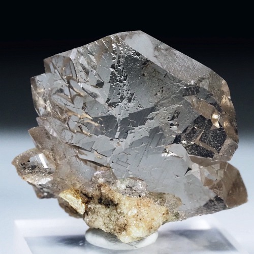 �O�C���f���N�H�[�c �X�C�X�E�A���v�X���� 16g (17-48)