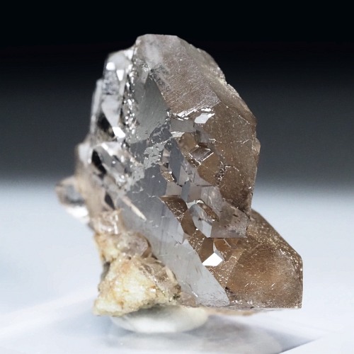 �O�C���f���N�H�[�c �X�C�X�E�A���v�X���� 16g (17-48)