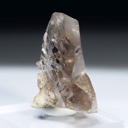 �O�C���f���N�H�[�c �X�C�X�E�A���v�X���� 16g (17-48)