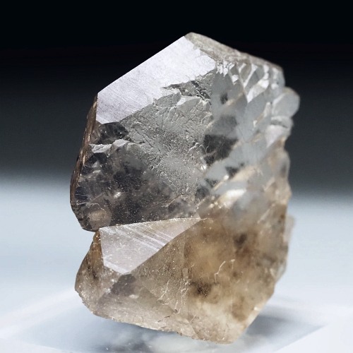 �O�C���f���N�H�[�c �X�C�X�E�A���v�X���� 16g (17-48)