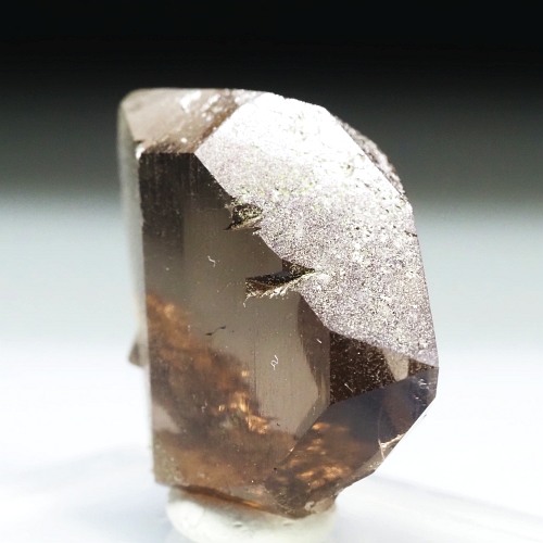 �O�C���f���N�H�[�c �X�C�X�E�A���v�X���� 21g (24-6)