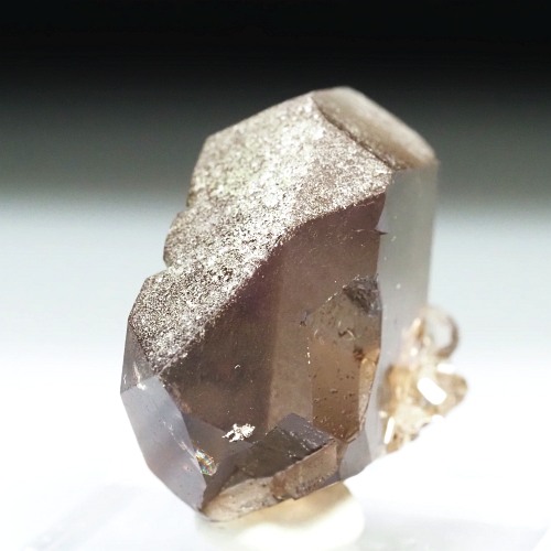 �O�C���f���N�H�[�c �X�C�X�E�A���v�X���� 21g (24-6)