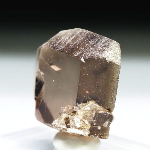 �O�C���f���N�H�[�c �X�C�X�E�A���v�X���� 21g (24-6)