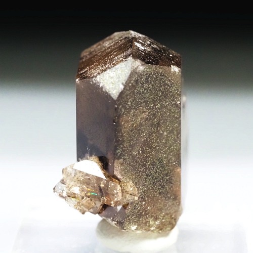 �O�C���f���N�H�[�c �X�C�X�E�A���v�X���� 21g (24-6)