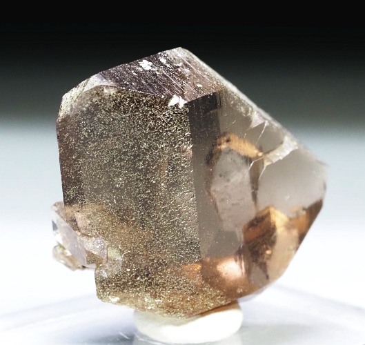 �O�C���f���N�H�[�c �X�C�X�E�A���v�X���� 21g (24-6)